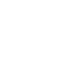 euro